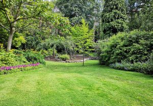 Optimiser l'expérience du jardin à Marant