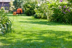 travaux jardin et paysage Marant